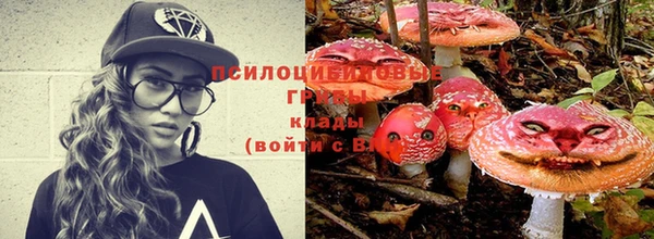 стафф Абинск