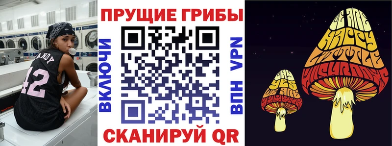 Галлюциногенные грибы GOLDEN TEACHER  площадка клад  Пудож 